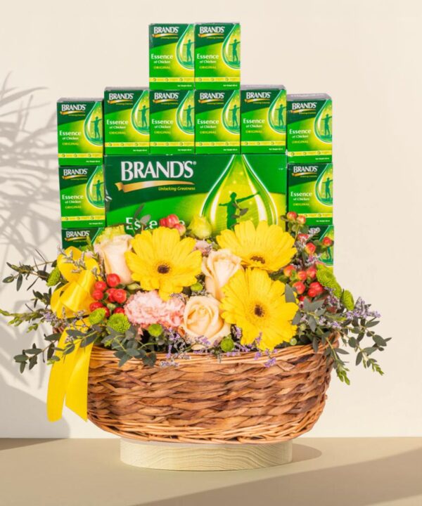 Wellness - Hamper with BRANDS Essence of Chicken