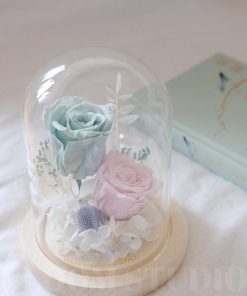 ashlyn preserved flower dome