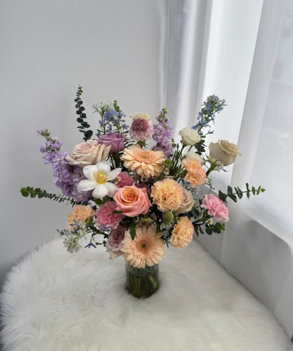 Appreciation - M DAY 2026